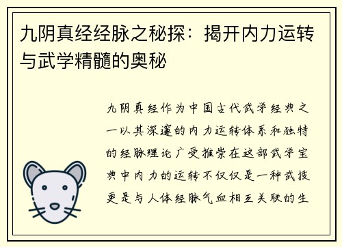 九阴真经经脉之秘探：揭开内力运转与武学精髓的奥秘